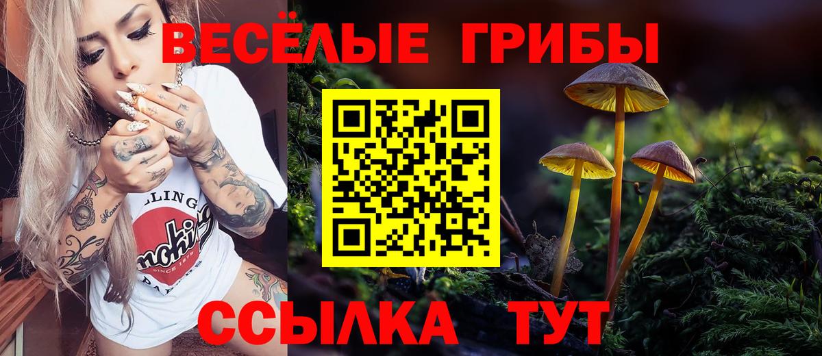 Галлюциногенные грибы MAGIC MUSHROOMS Ейск
